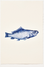 Set of 2 Blue Fish & Les Tulipes Prints | Contemporary Aquatic & Botanical Wall Art Set