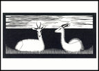 Two Gazelles - Hakyarts