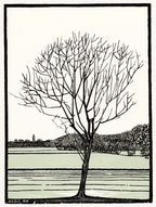 Bald Tree by Julie de Graag, 1919 – Botanical & Nature Art Print - Hakyarts
