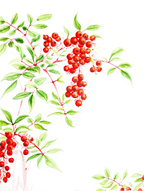 Mix & Match Japanese Botanical Prints – 3 Prints - Hakyarts