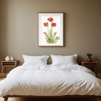 Pitcherplant by Mary Vaux Walcott – Botanical Art PrintMary Vaux Walcott - Pitcherplant