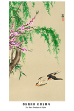 Two Barn Swallows in Flight – Ohara Koson Poster | Japanese Nature Art Print - Hakyarts