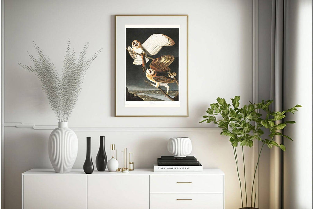 "Audubon - Barn Owl"