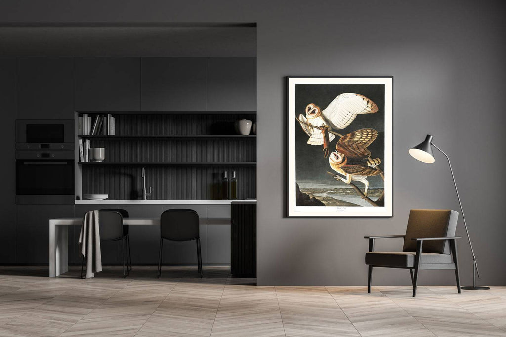 "Audubon - Barn Owl"