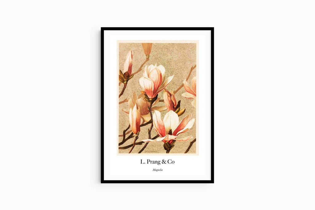"Louis Prang & Co - Magnolia Poster - Hakyarts"