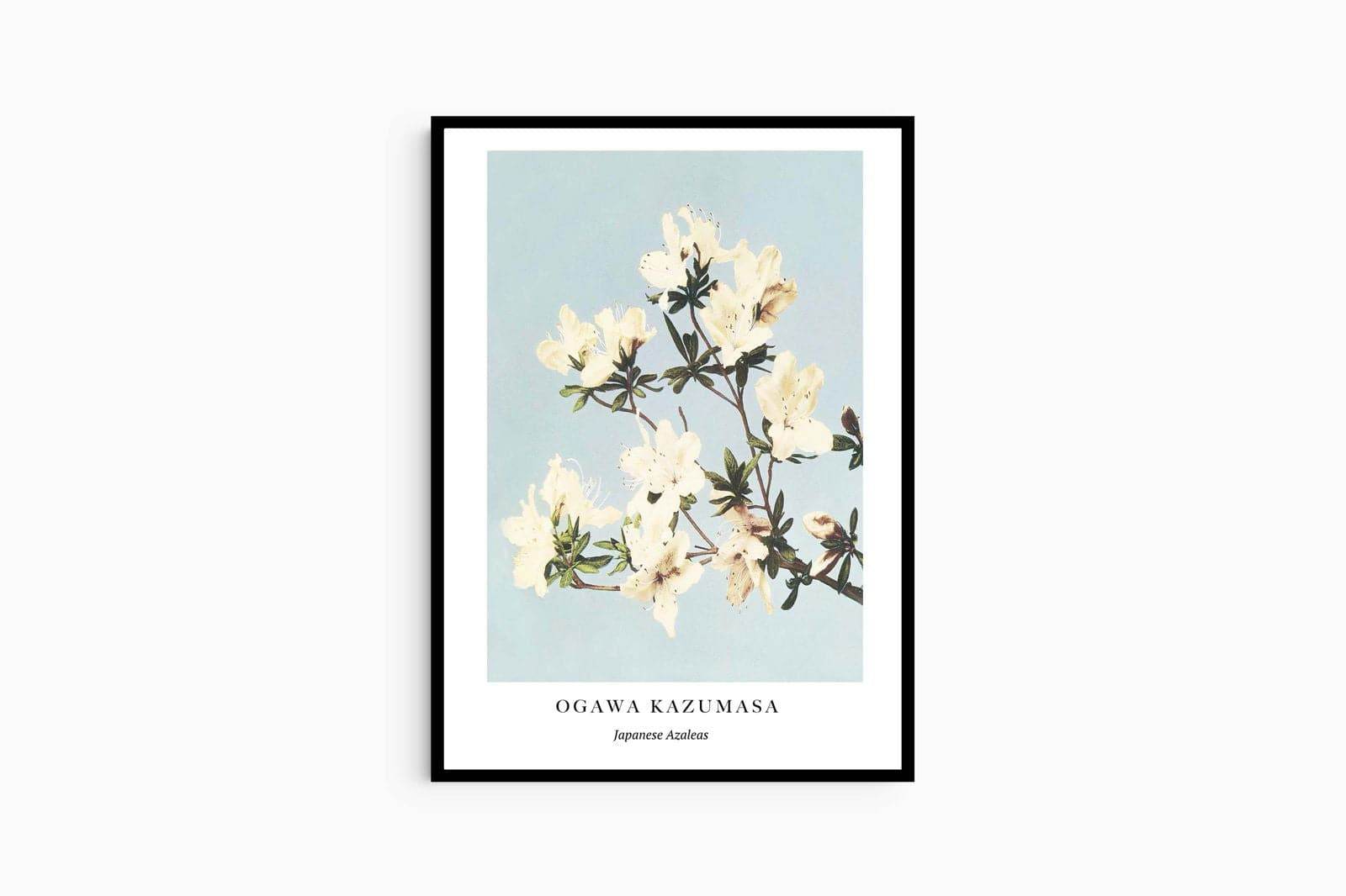 "Ogawa Kazumasa - Japanese Azaleas Poster - Hakyarts"