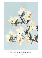 "Ogawa Kazumasa - Japanese Azaleas Poster - Hakyarts"