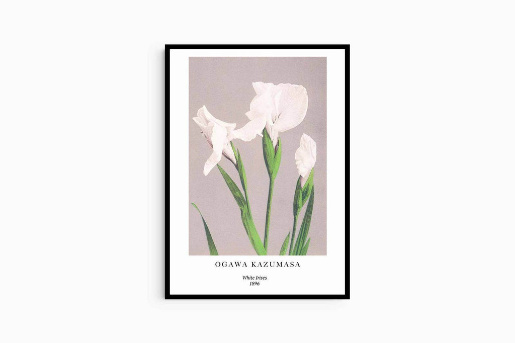 "Ogawa Kazumasa - White Irises Poster - Hakyarts"