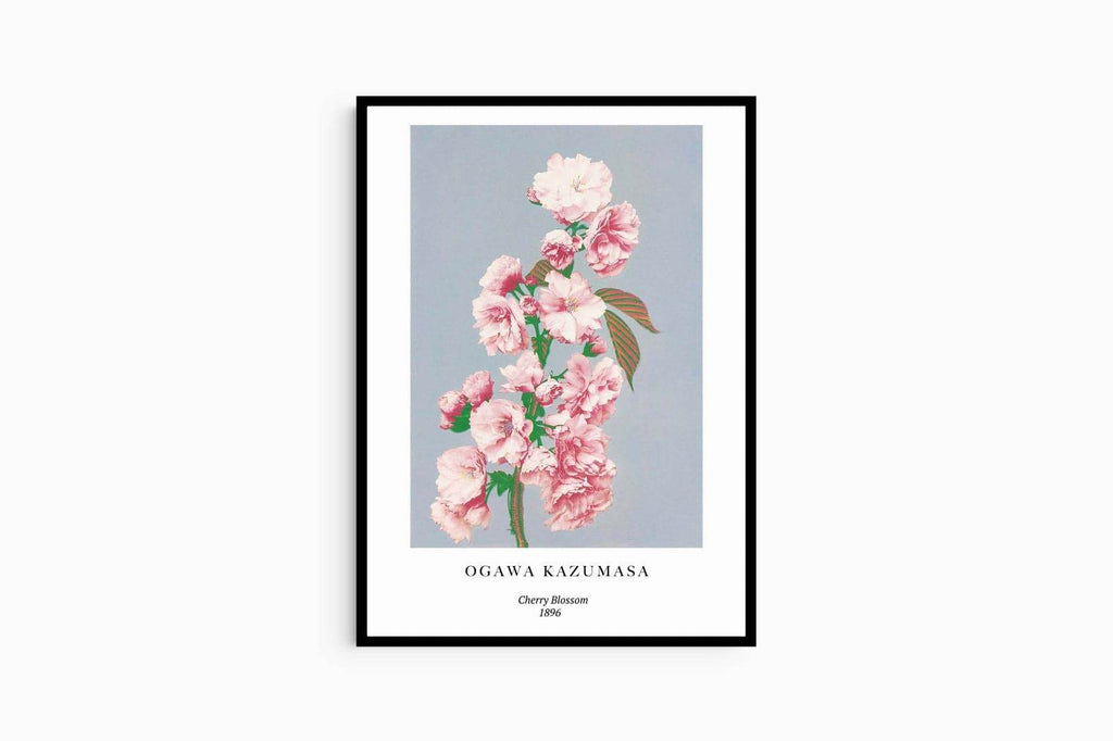 "Ogawa Kazumasa - Cherry Blossom Poster - Hakyarts"