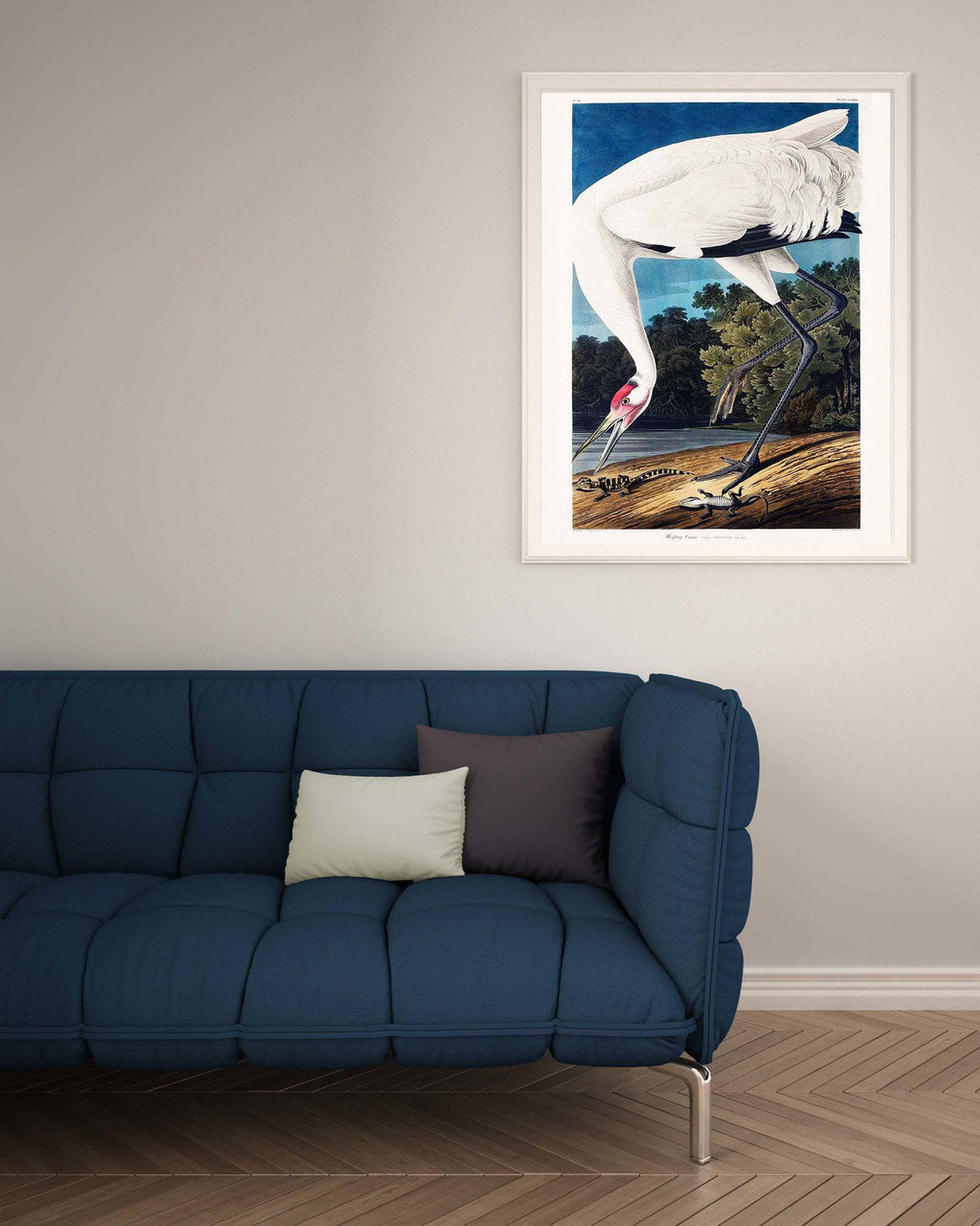 "John James Audubon - Wooping Crane Poster"
