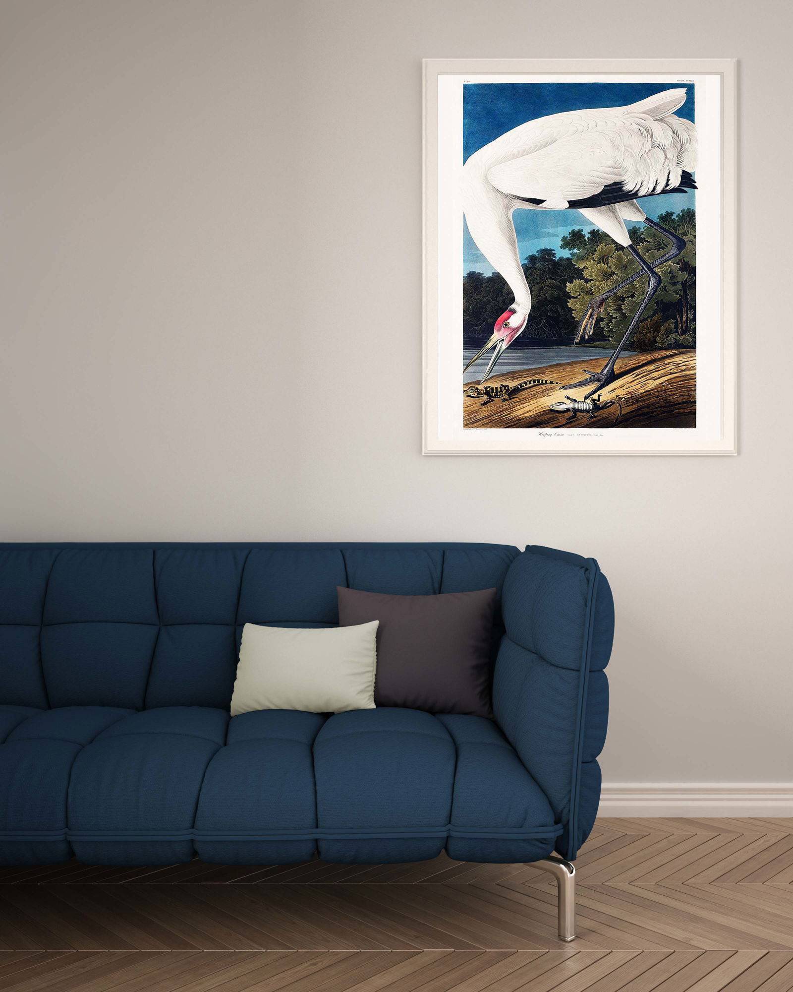 "John James Audubon - Wooping Crane Poster"