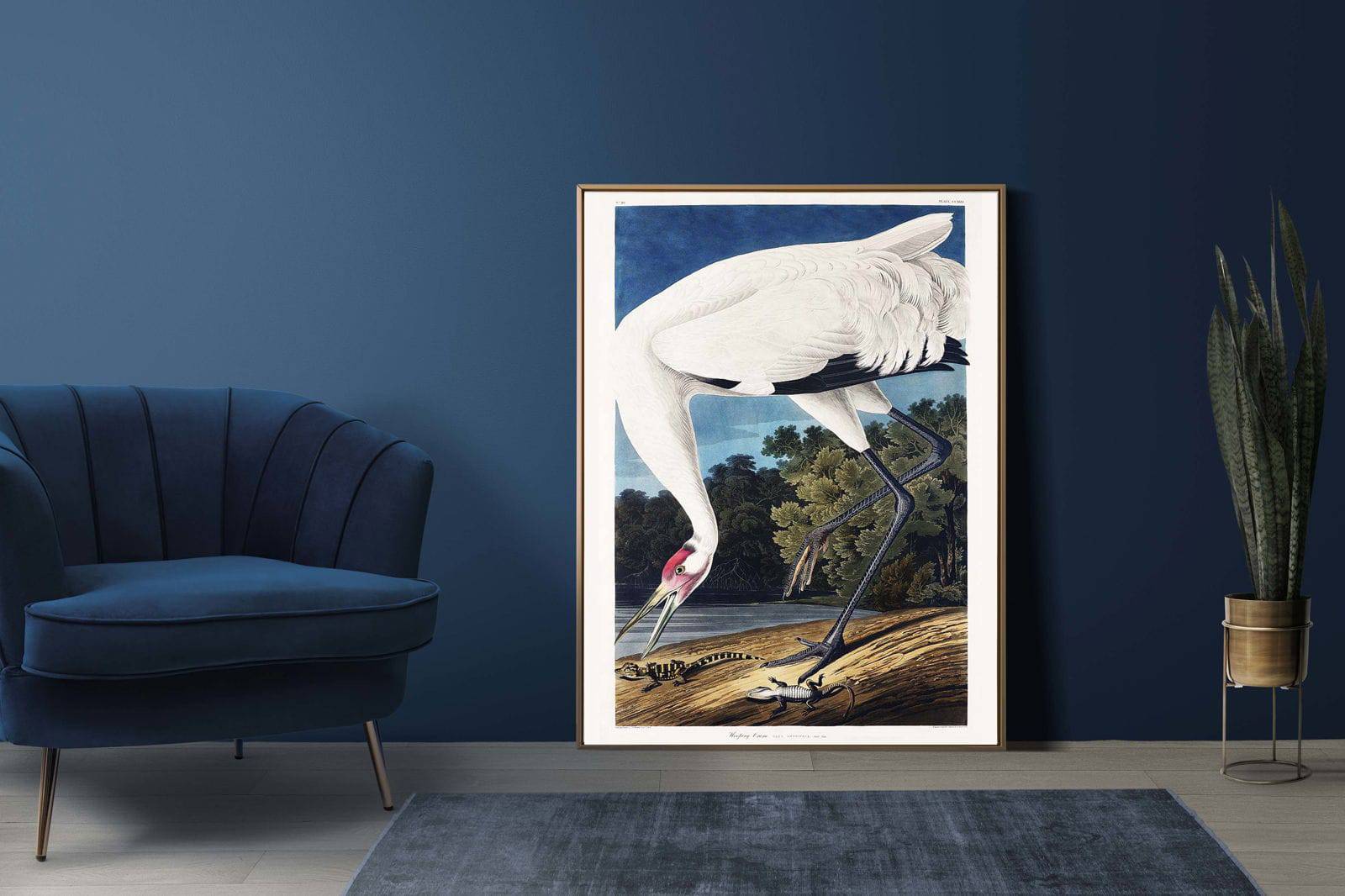 "John James Audubon - Wooping Crane Poster"