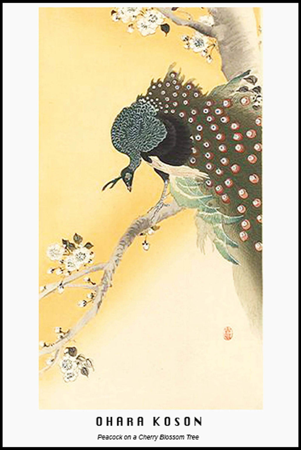 "Ohara Koson - Peacock on a Cherry Blossom Tree Poster - Hakyarts"