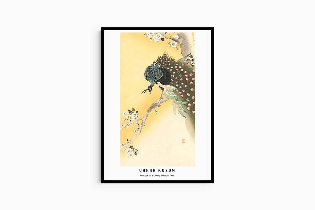 "Ohara Koson - Peacock on a Cherry Blossom Tree Poster - Hakyarts"