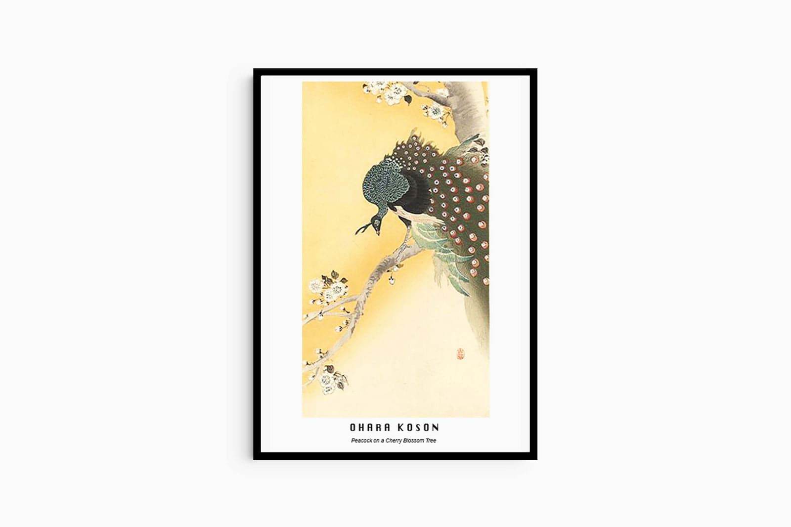 "Ohara Koson - Peacock on a Cherry Blossom Tree Poster - Hakyarts"