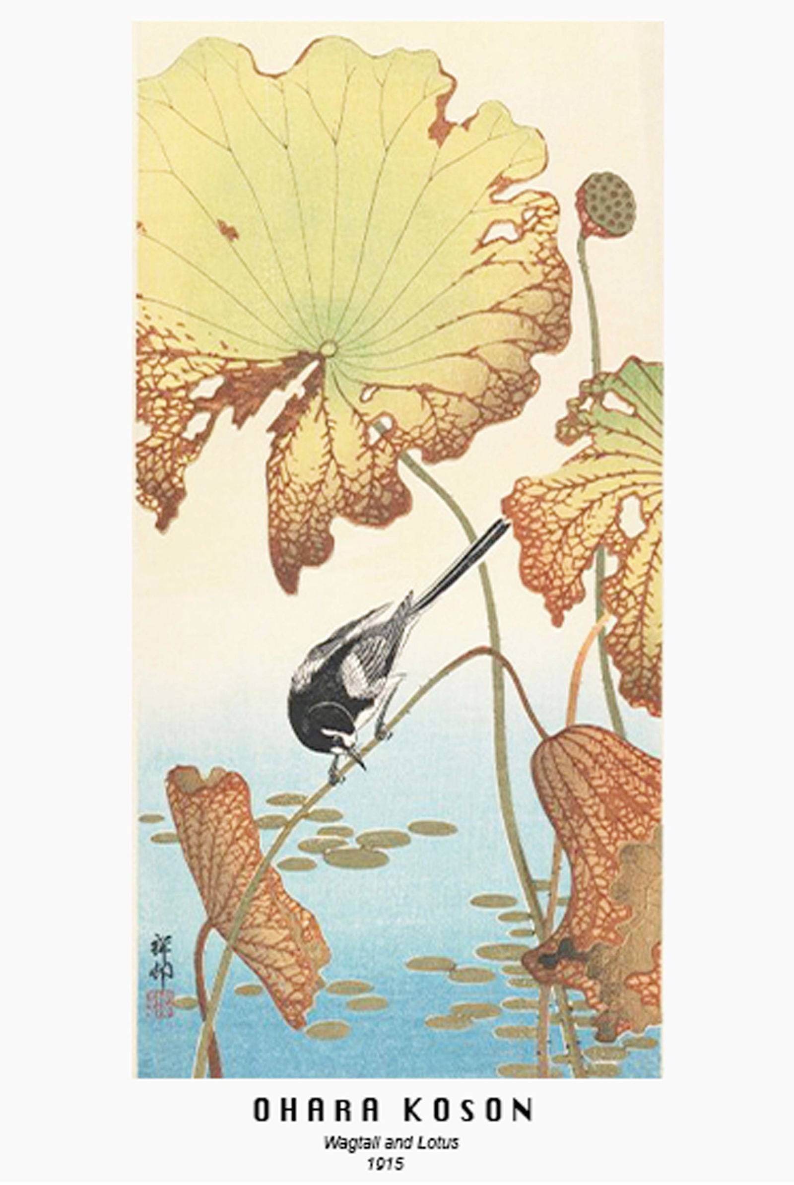 "Ohara Koson - Wagtail and Lotus Poster - Hakyarts"