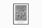 "Karl Blossfeldt - Delphinium 'Larkspur' Poster"