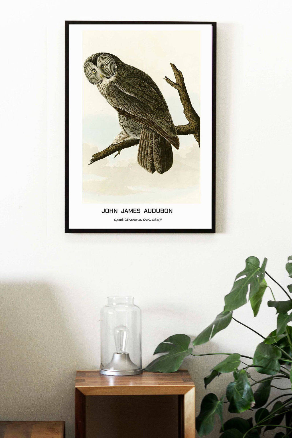 "John James Audubon - Great Cinereous Owl Poster"