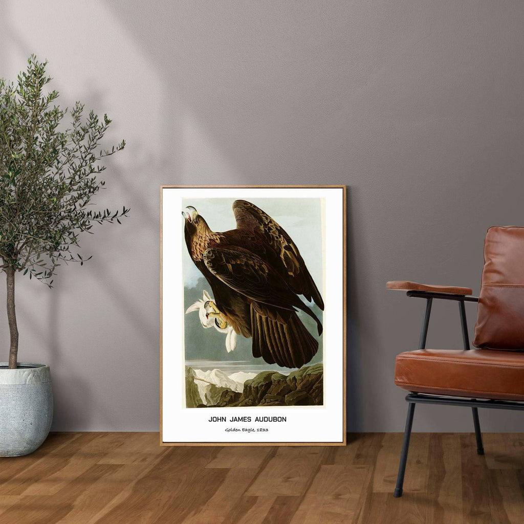 "John James Audubon - Golden Eagle Poster"