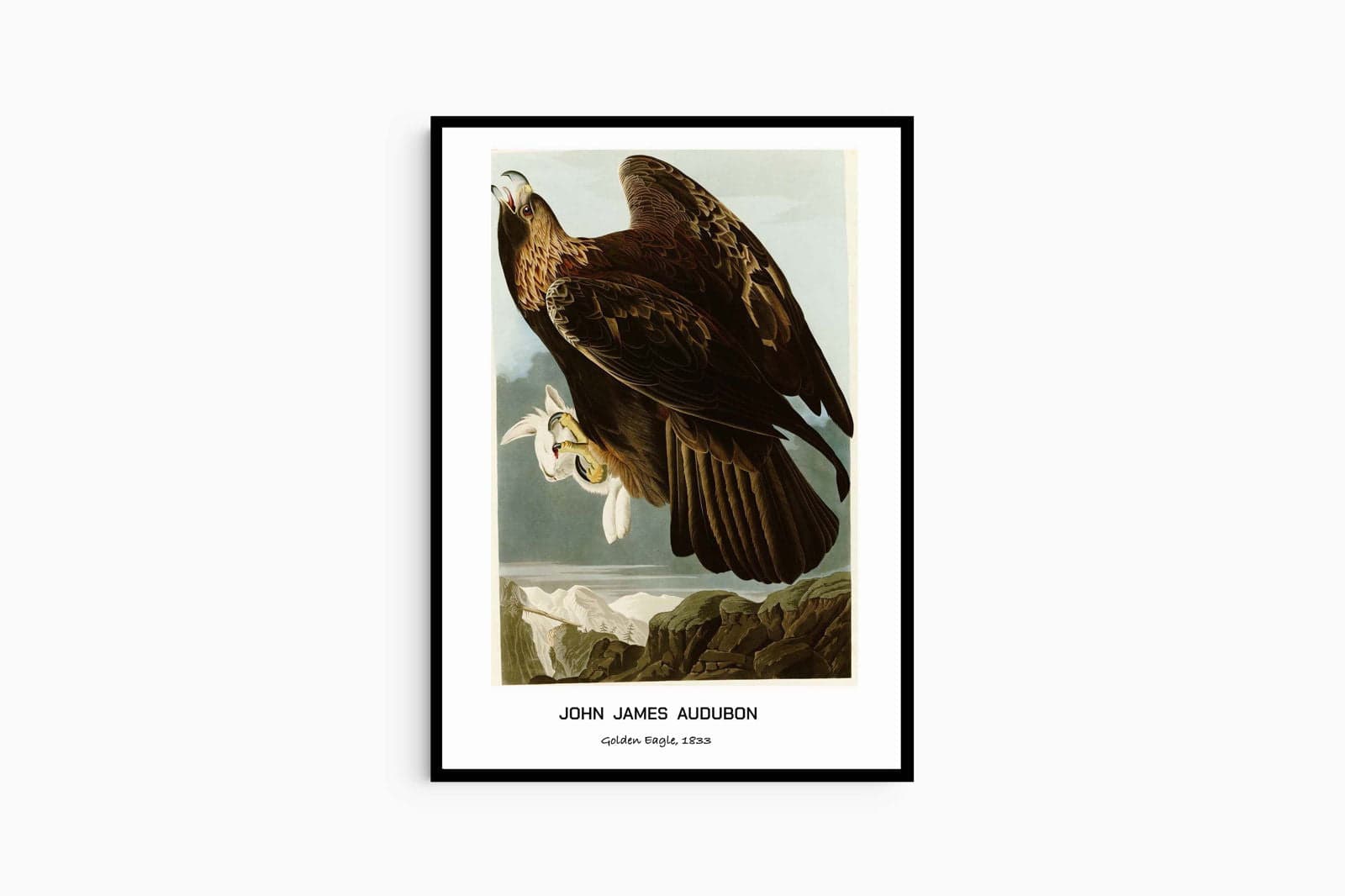 "John James Audubon - Golden Eagle Poster"