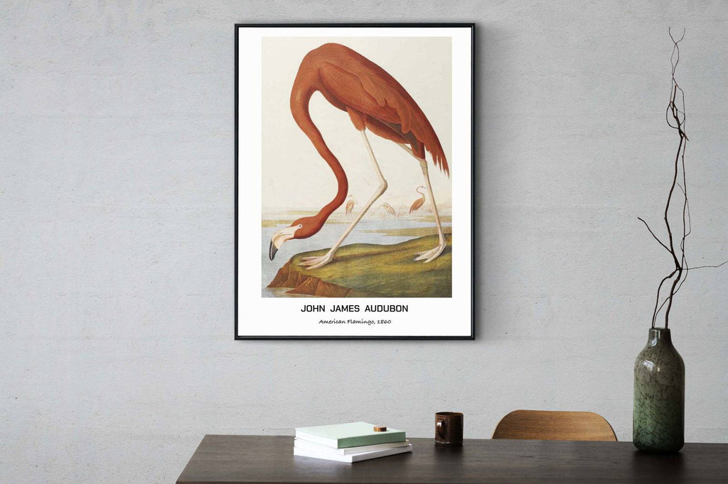 "John James Audubon - American Flamingo Poster"