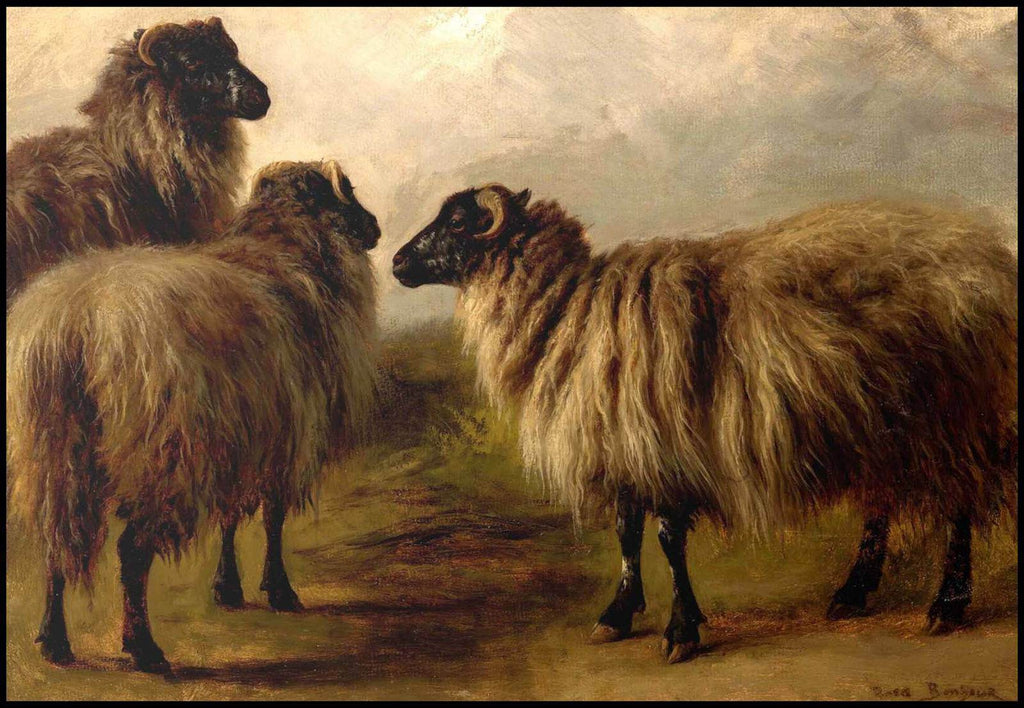 "Rosa Bonheur - Three Wooly Sheep - Hakyarts"