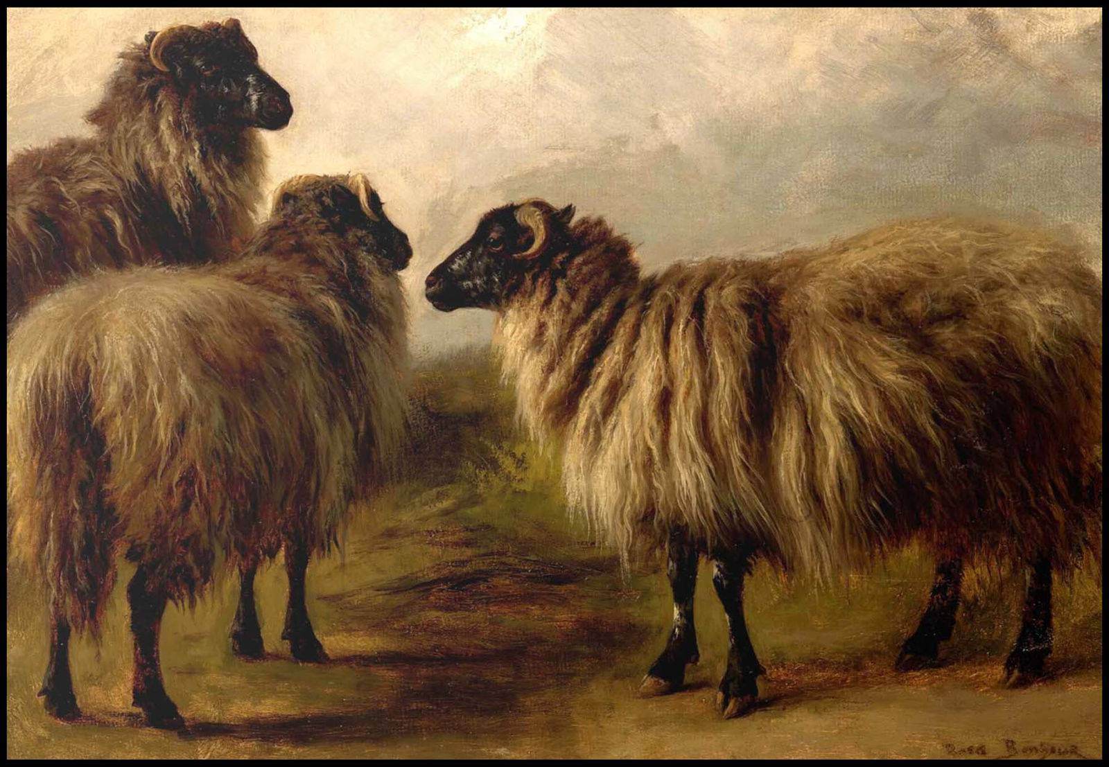 "Rosa Bonheur - Three Wooly Sheep - Hakyarts"