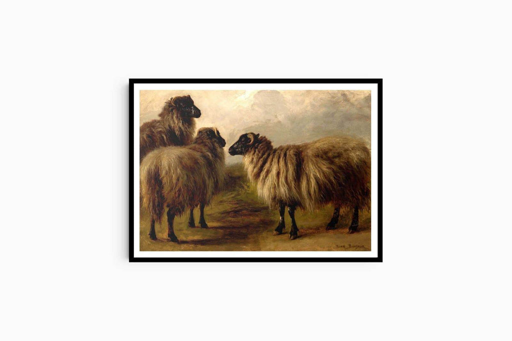 "Rosa Bonheur - Three Wooly Sheep - Hakyarts"