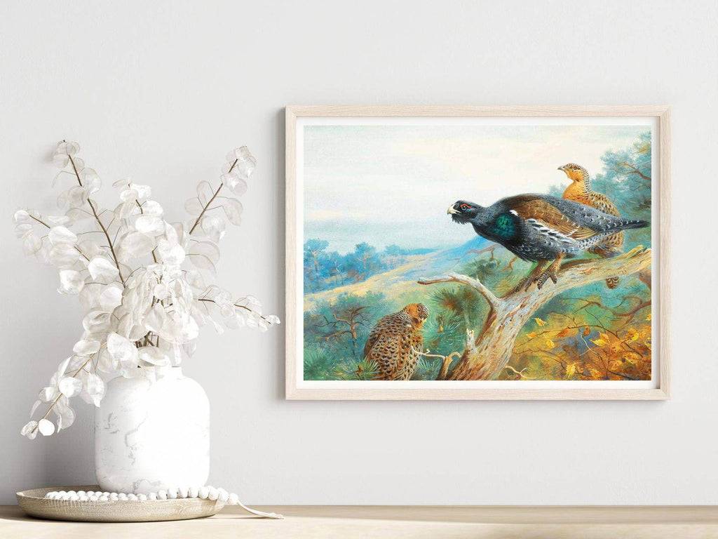 "Archibald Thorburn - Capercaillie - Hakyarts"