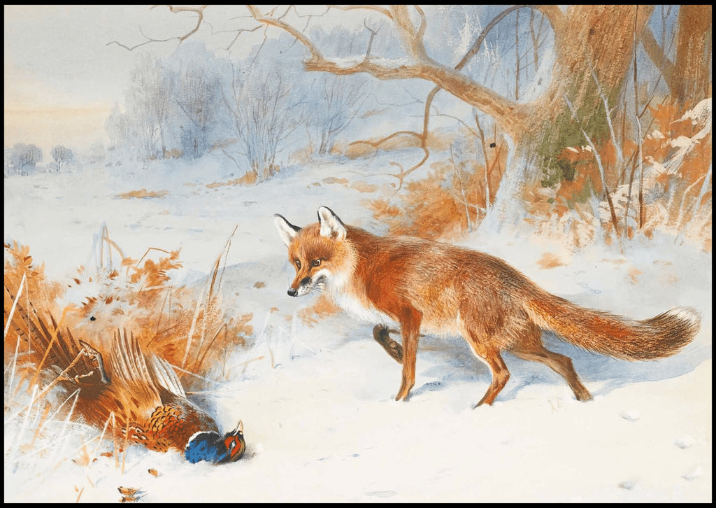 "Archibald Thorburn - Overlooked By The Beaters - Hakyarts"