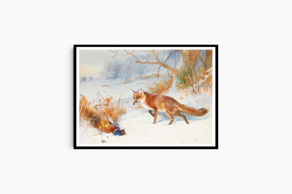 "Archibald Thorburn - Overlooked By The Beaters - Hakyarts"