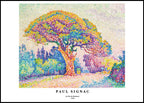"Paul Signac - Le Pin de Bertaud Poster"