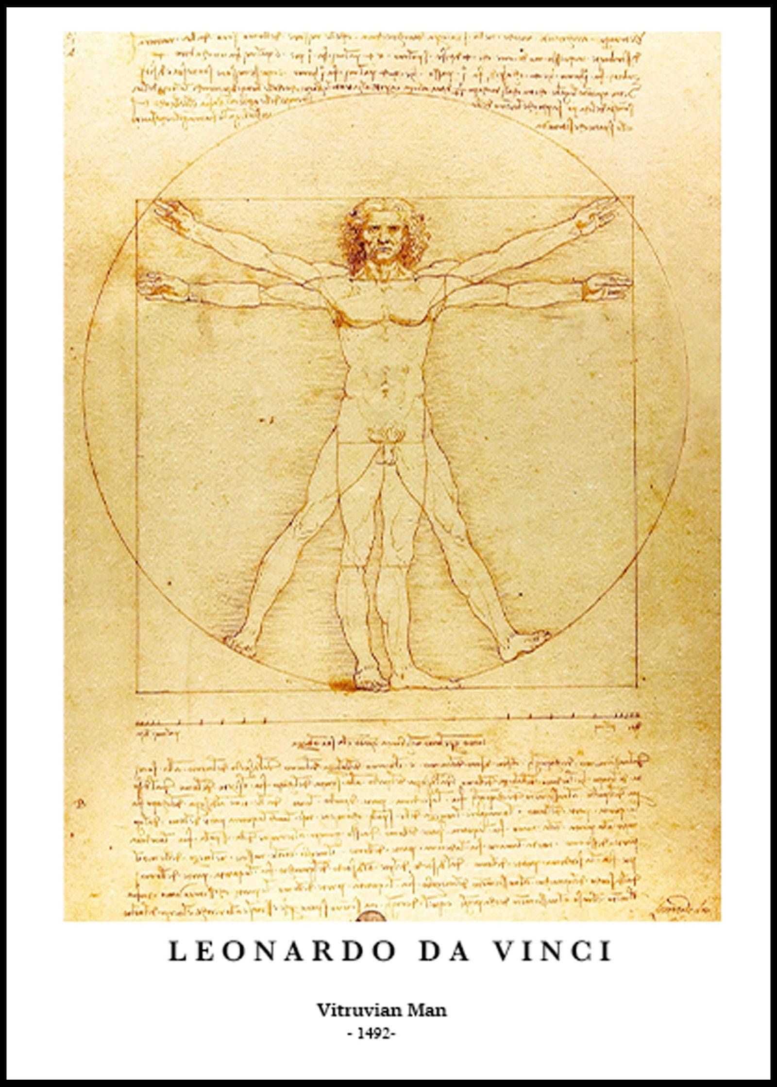 "Leonardo da Vinci - Vitruvian Man Poster"