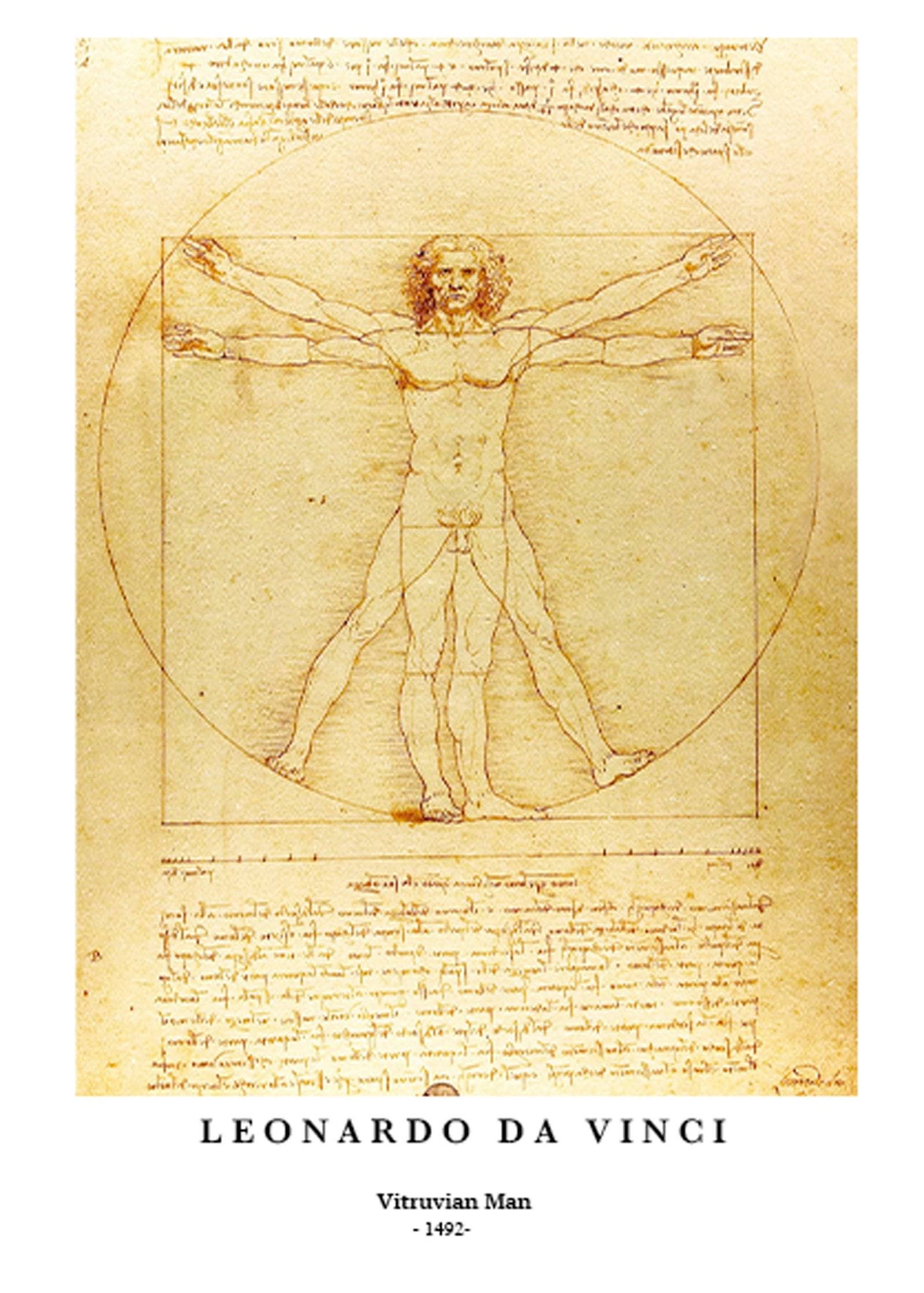 "Leonardo da Vinci - Vitruvian Man Poster"