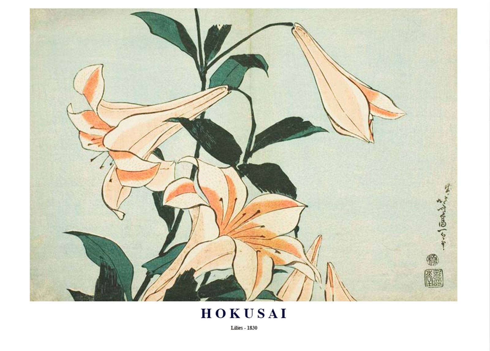 "Katsushika Hokusai - Lilies Poster"