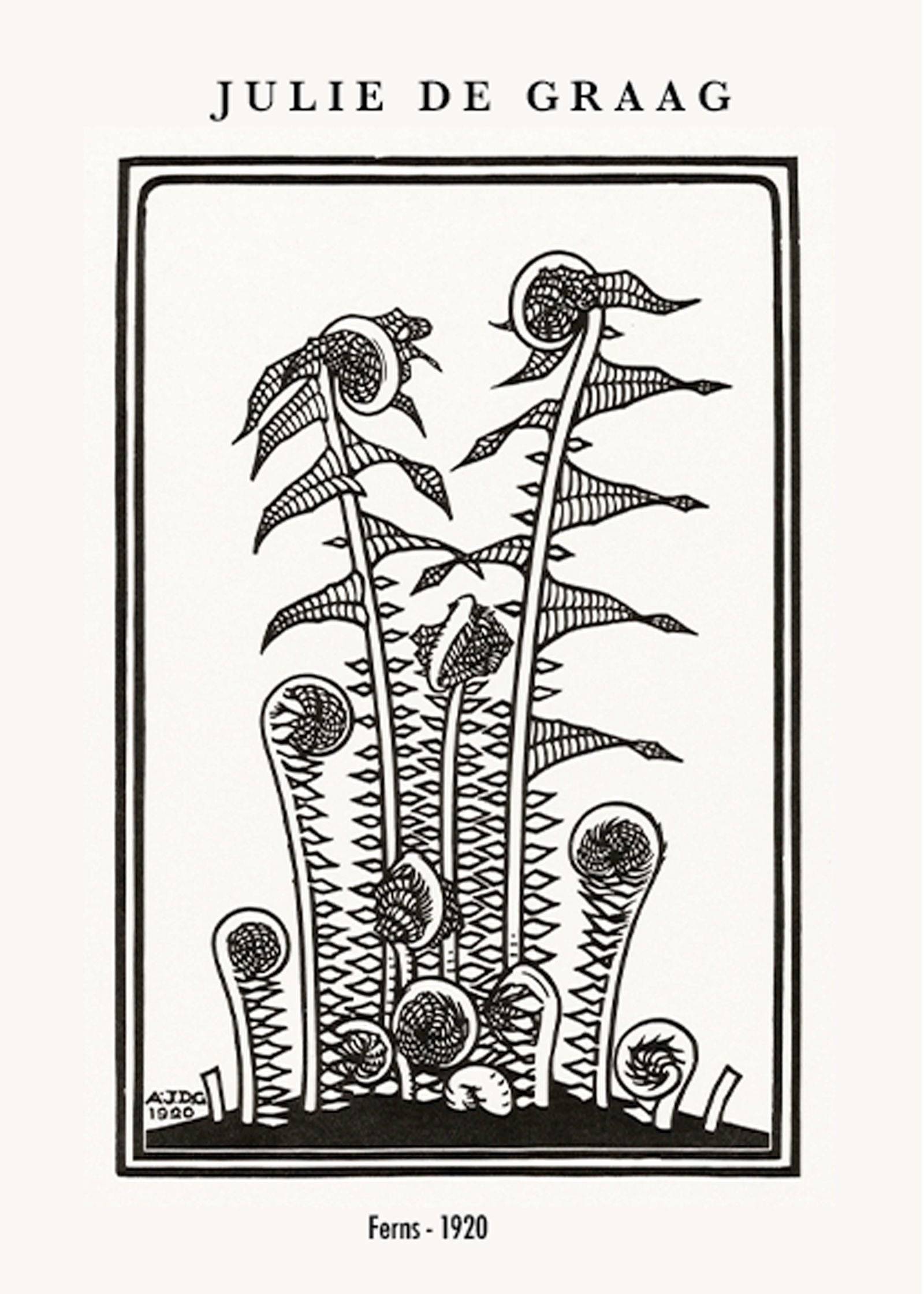 "Julie de Graag - Ferns Poster"
