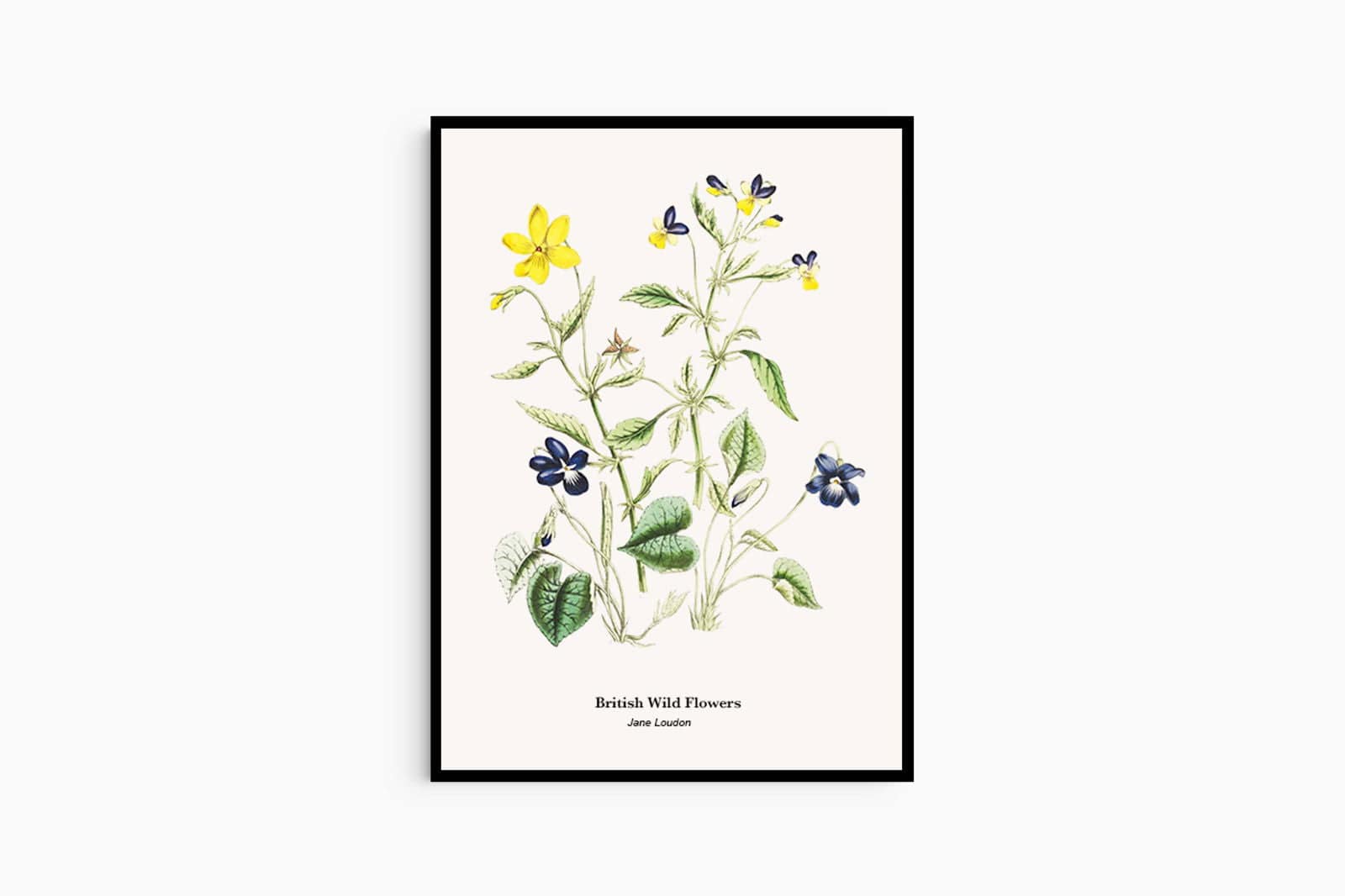 "Jane Loudon - British Wild Flowers Poster"