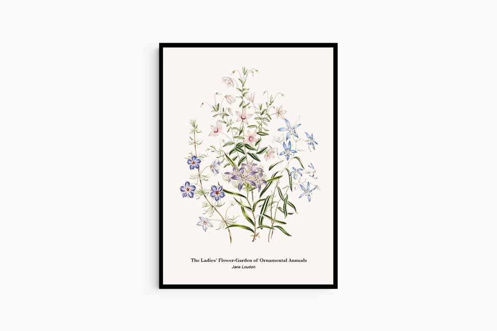 "Jane Loudon - The Ladies' Flower-Garden of Ornamental Annuals No1 Poster"