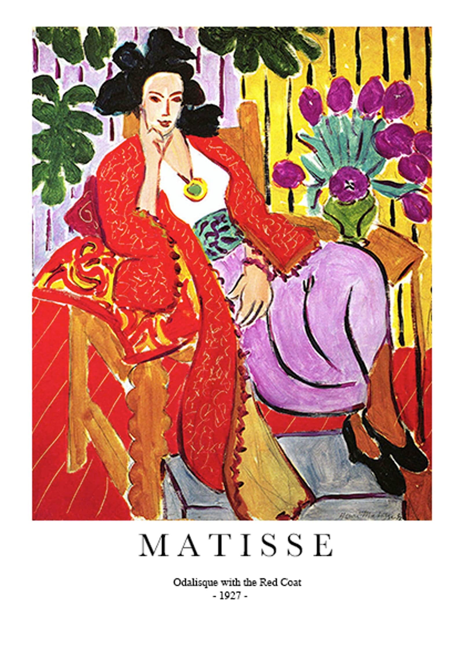 "Henri Matisse - Odalisque with the Red Coat Poster"
