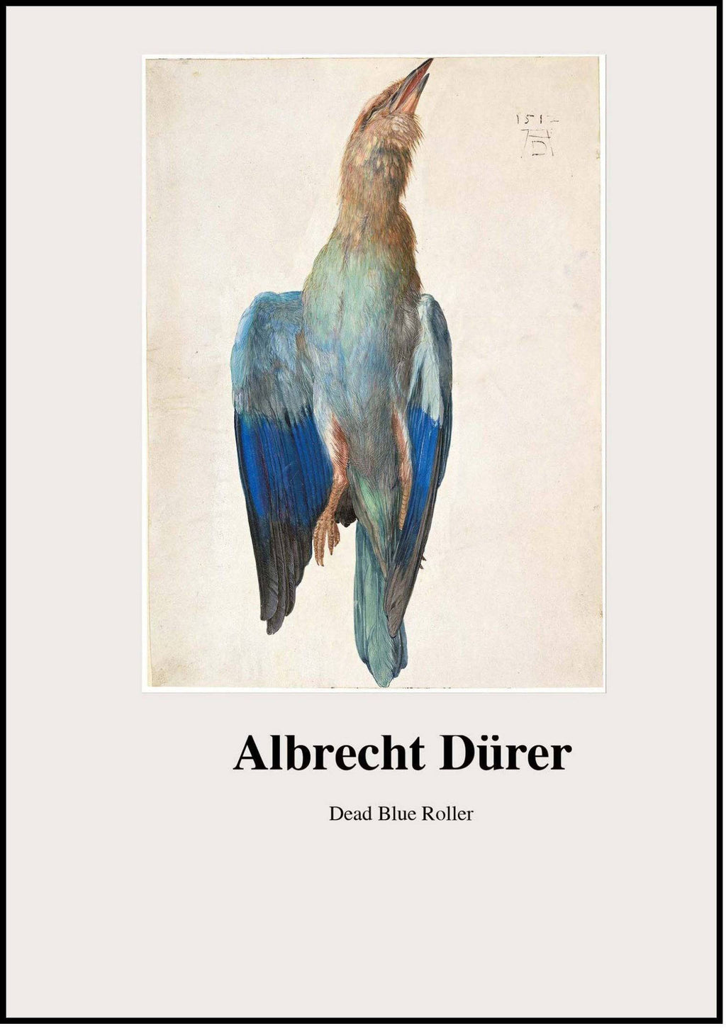 "Albrecht Dürer - Dead Blue Roller Poster"