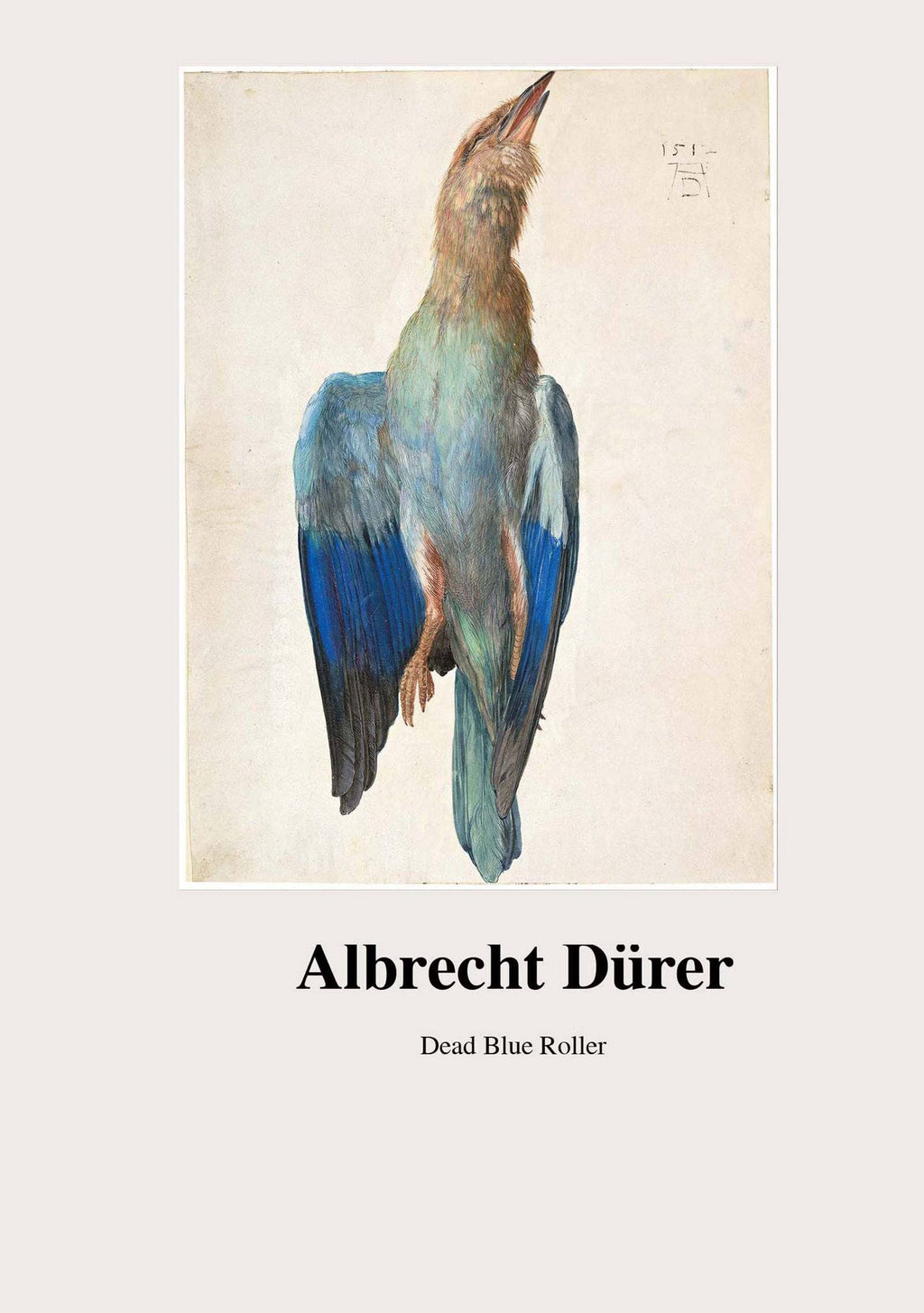 "Albrecht Dürer - Dead Blue Roller Poster"