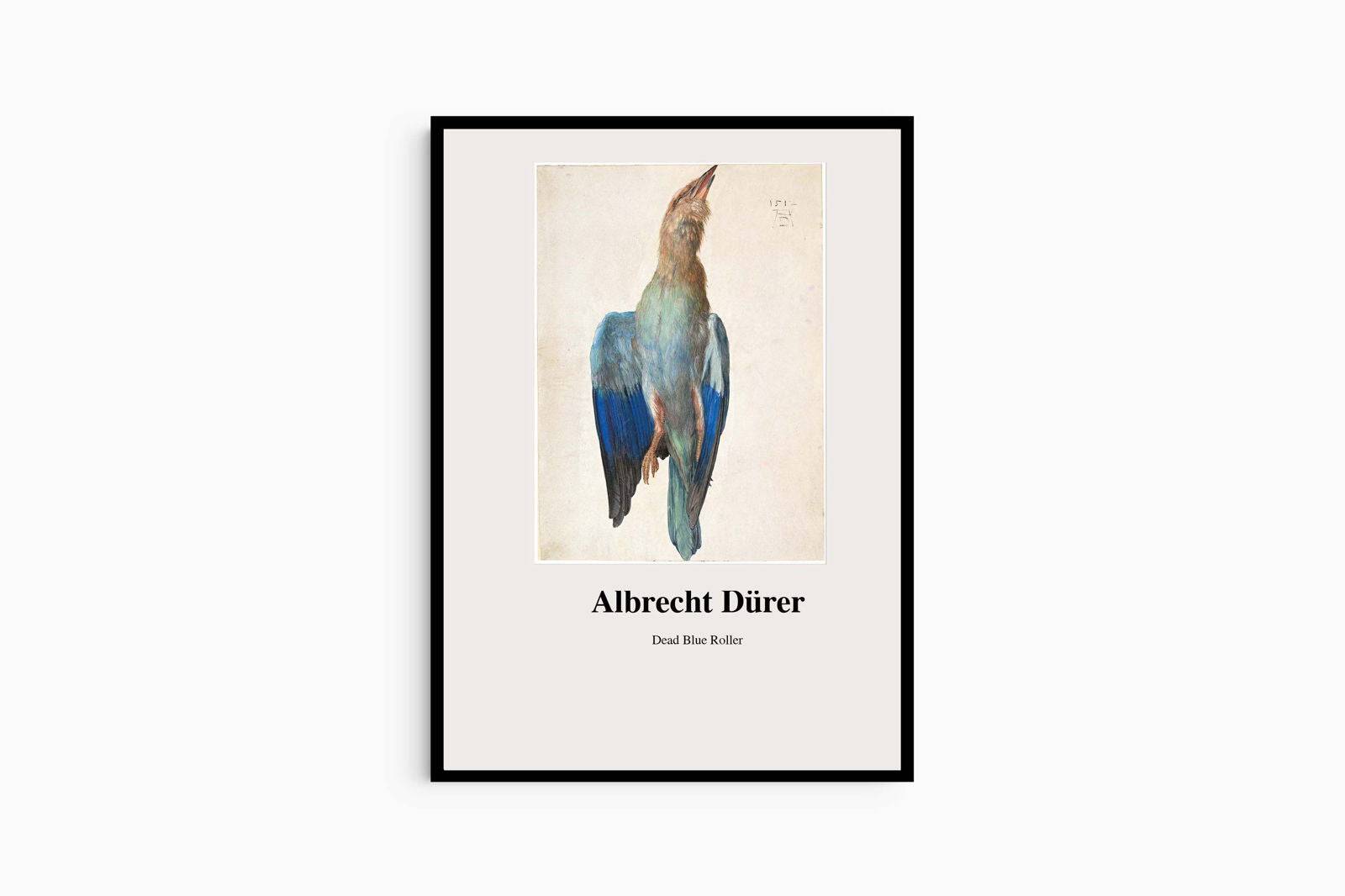 "Albrecht Dürer - Dead Blue Roller Poster"