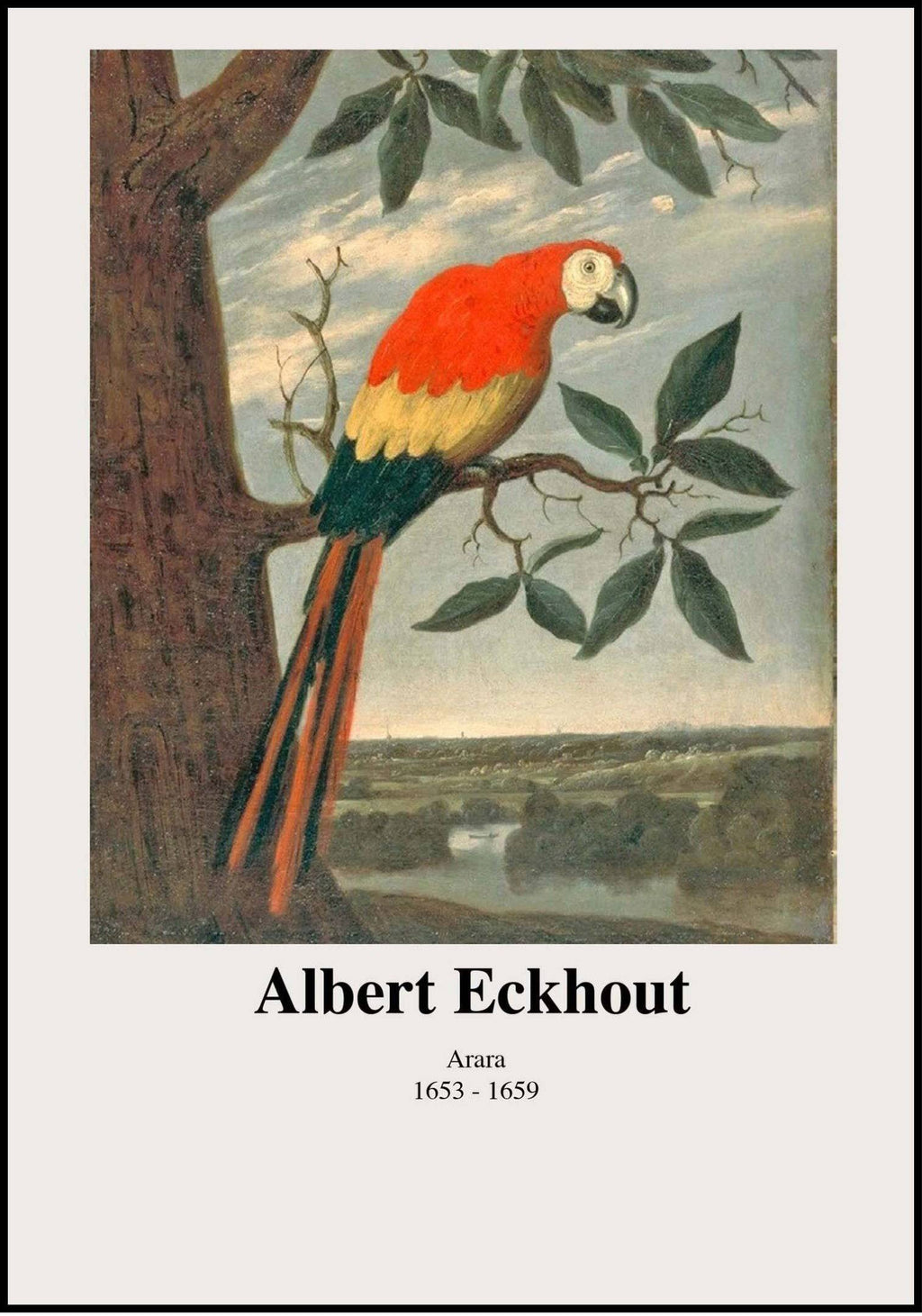 "Albert Eckhout - Arara Poster"