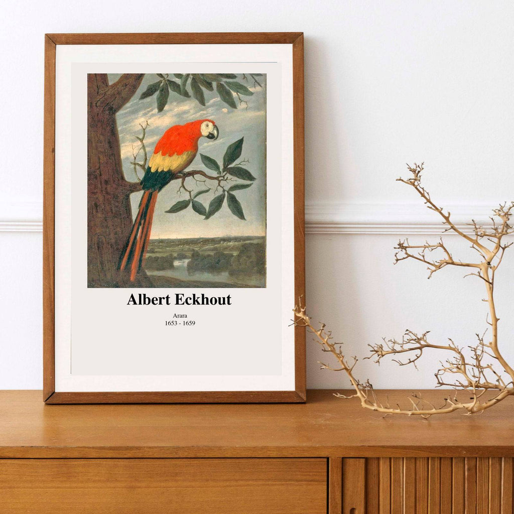 "Albert Eckhout - Arara Poster"