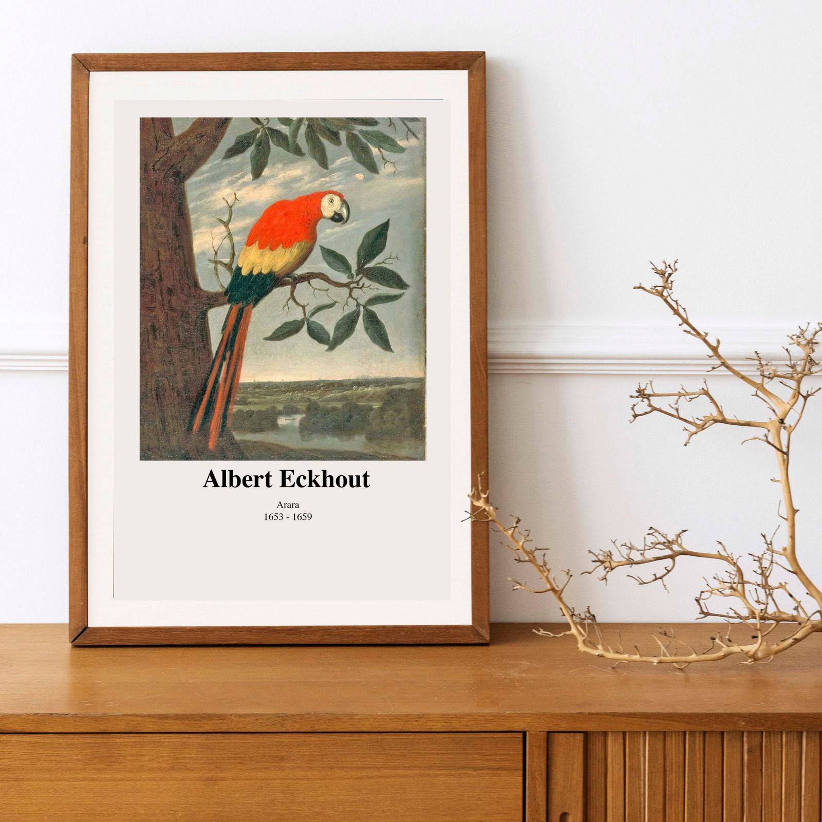 "Albert Eckhout - Arara Poster"