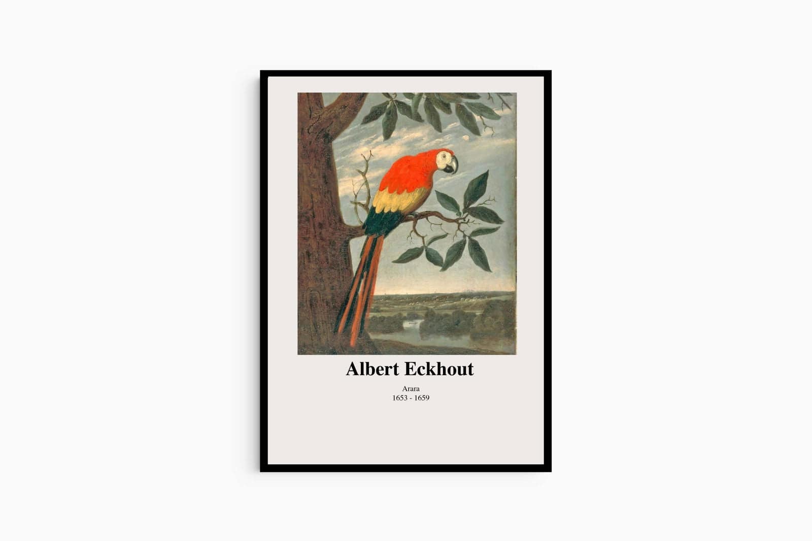 "Albert Eckhout - Arara Poster"