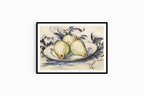 "Paul Cézanne - Three Pears - Hakyarts"