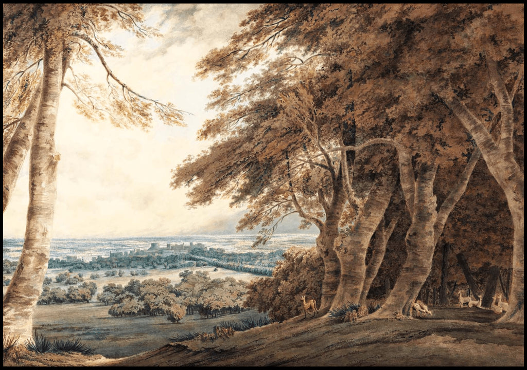 "William Turner - Windsor"