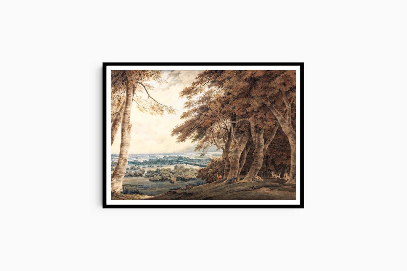 "William Turner - Windsor"