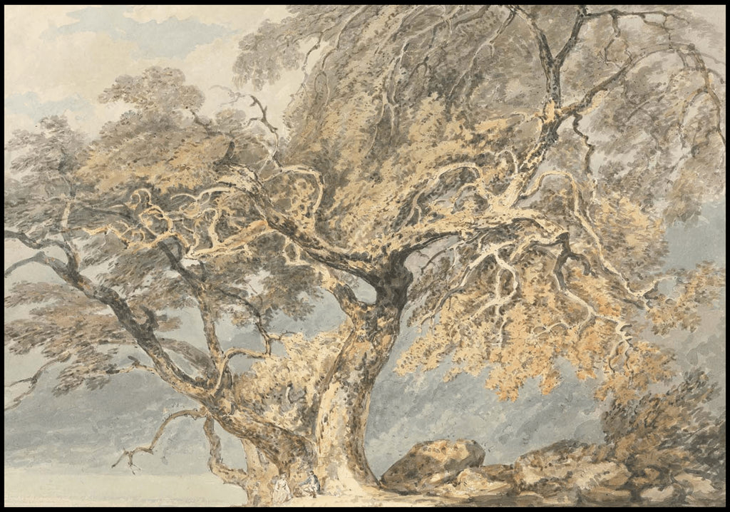 "William Turner - A Great Tree"